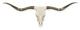 Longhorn Steer/Cow