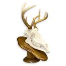 Mounted With Jaw $308